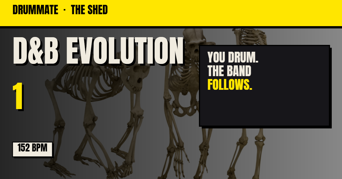 D&B Evolution 1